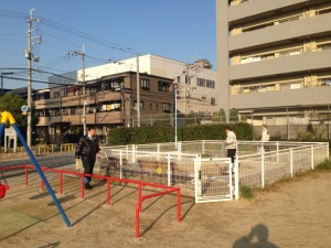 公園の清掃、結構冷える朝でした